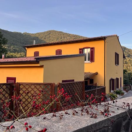 B&B La Fucinaia Pet Friendly Adults Only Campiglia Marittima Extérieur photo
