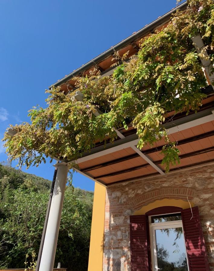 B&B La Fucinaia Pet Friendly Adults Only Campiglia Marittima Extérieur photo