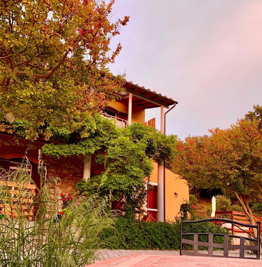 B&B La Fucinaia Pet Friendly Adults Only Campiglia Marittima Extérieur photo