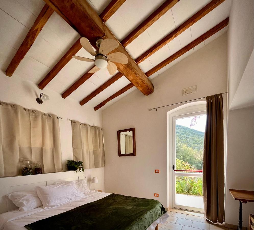 B&B La Fucinaia Pet Friendly Adults Only Campiglia Marittima Extérieur photo