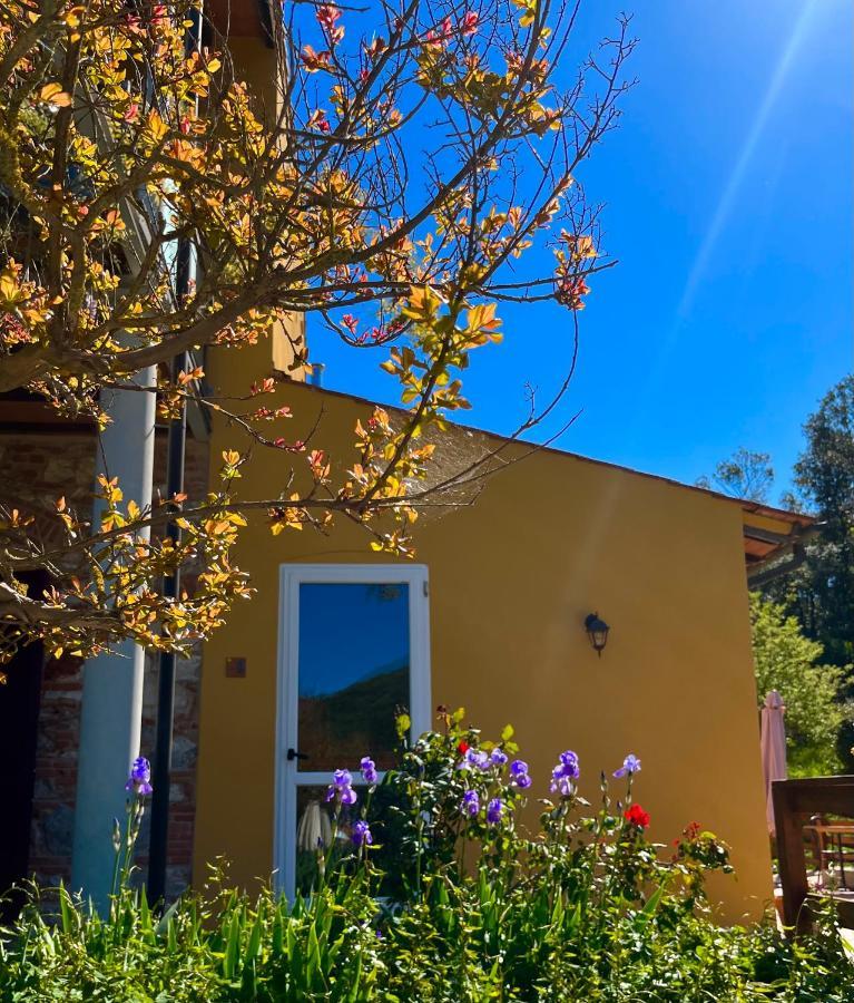 B&B La Fucinaia Pet Friendly Adults Only Campiglia Marittima Extérieur photo