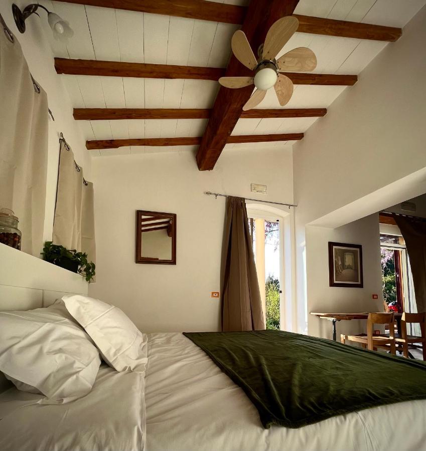 B&B La Fucinaia Pet Friendly Adults Only Campiglia Marittima Extérieur photo