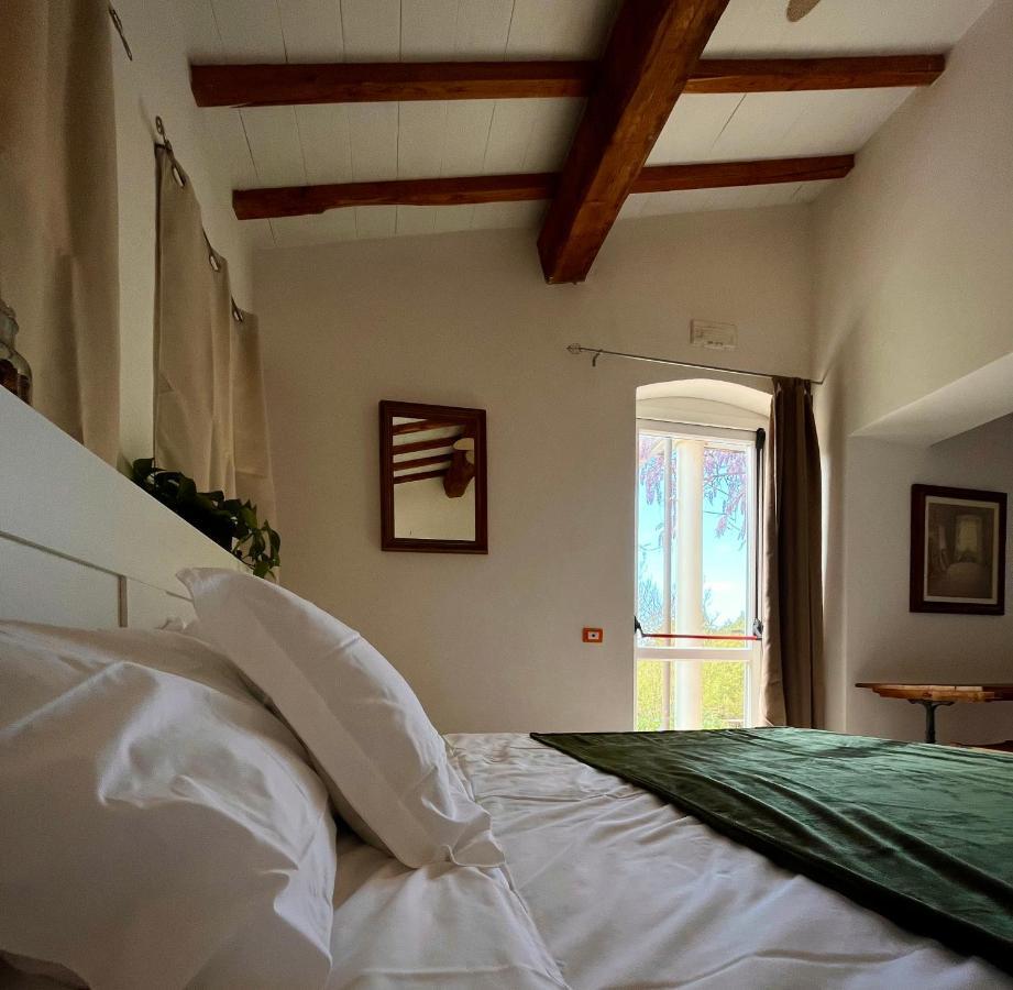 B&B La Fucinaia Pet Friendly Adults Only Campiglia Marittima Extérieur photo