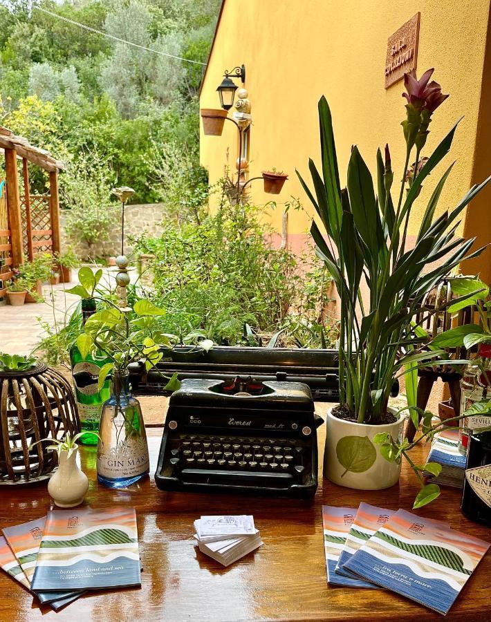 B&B La Fucinaia Pet Friendly Adults Only Campiglia Marittima Extérieur photo