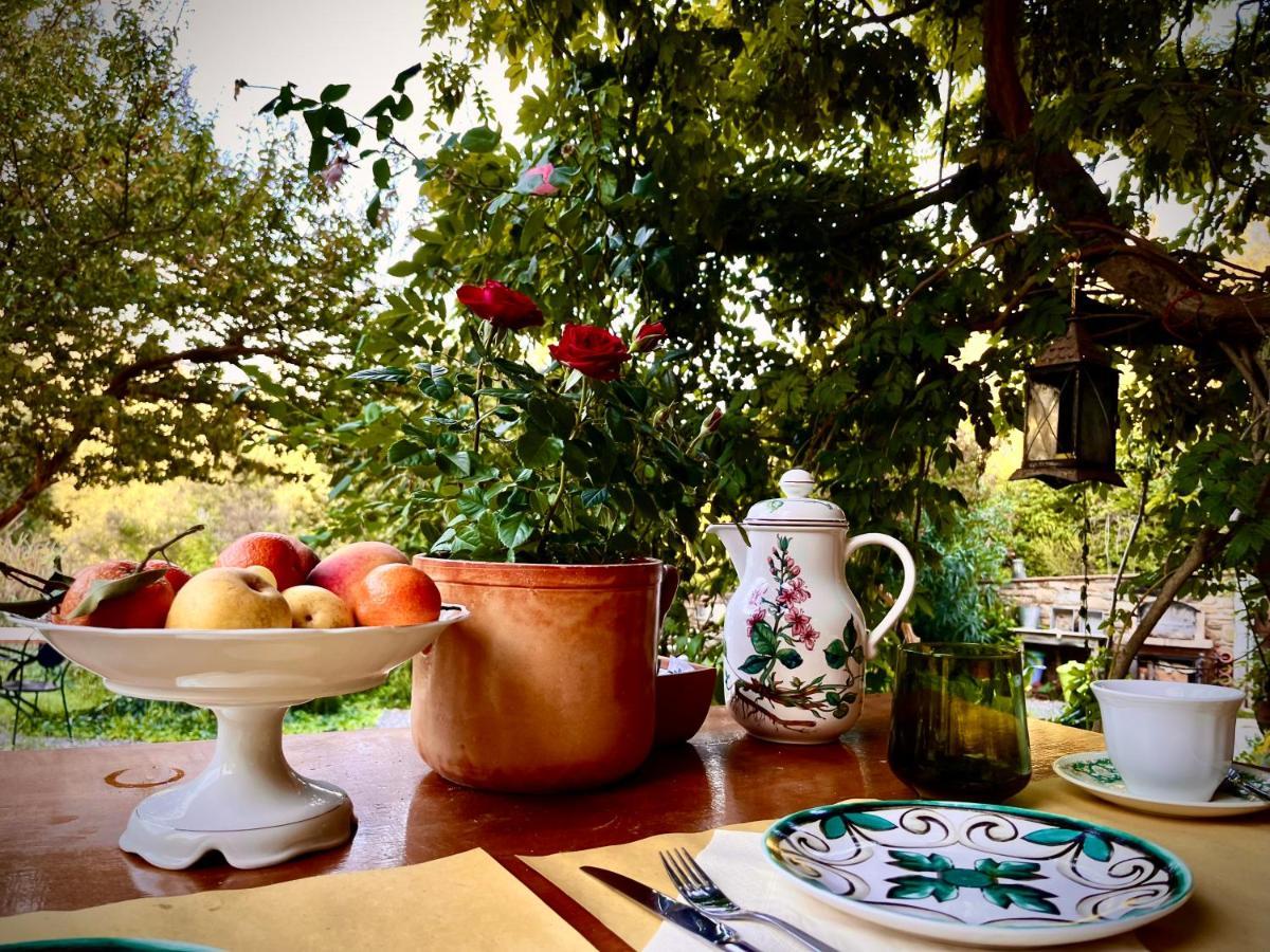 B&B La Fucinaia Pet Friendly Adults Only Campiglia Marittima Extérieur photo