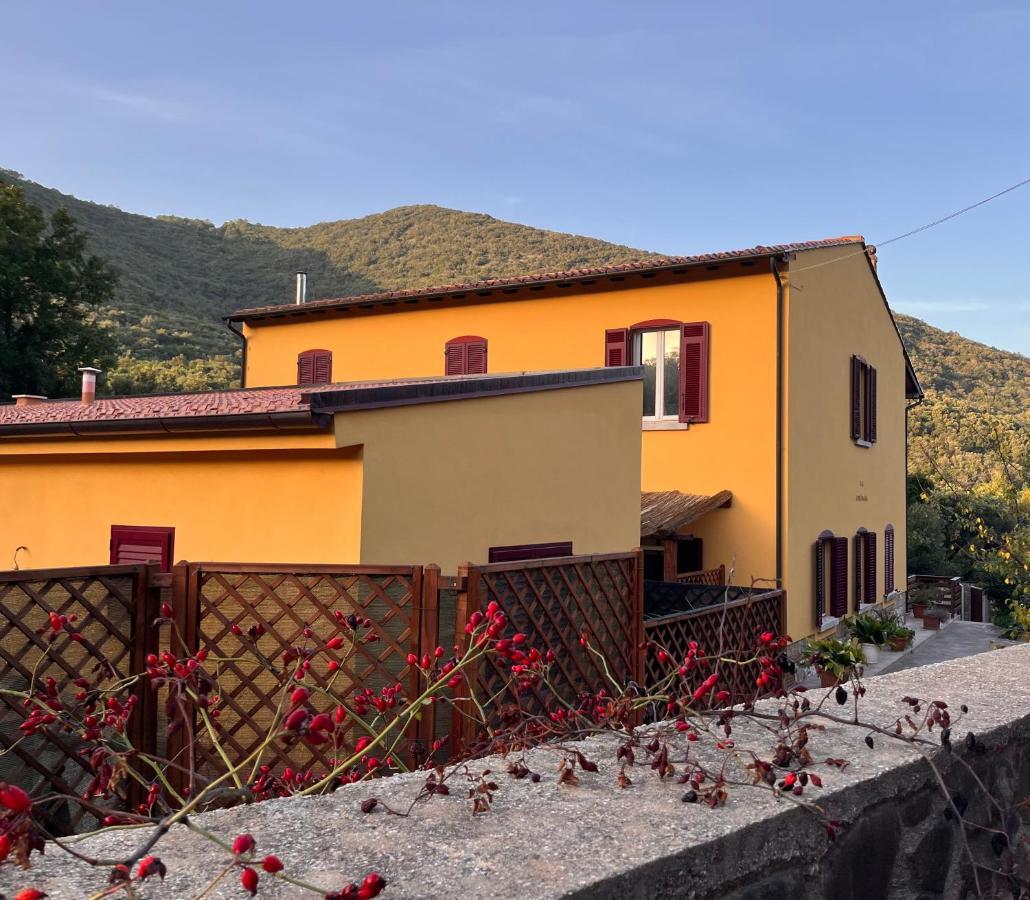 B&B La Fucinaia Pet Friendly Adults Only Campiglia Marittima Extérieur photo
