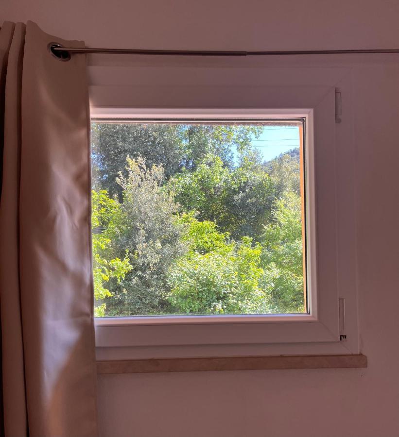B&B La Fucinaia Pet Friendly Adults Only Campiglia Marittima Extérieur photo
