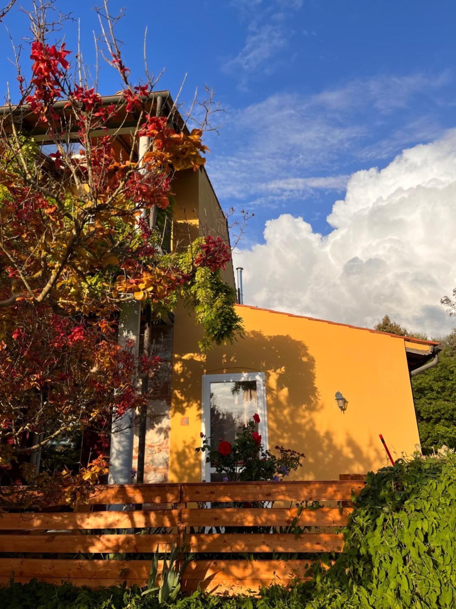B&B La Fucinaia Pet Friendly Adults Only Campiglia Marittima Extérieur photo