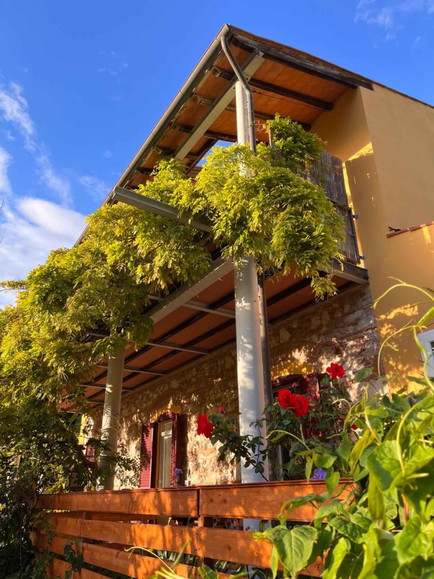 B&B La Fucinaia Pet Friendly Adults Only Campiglia Marittima Extérieur photo
