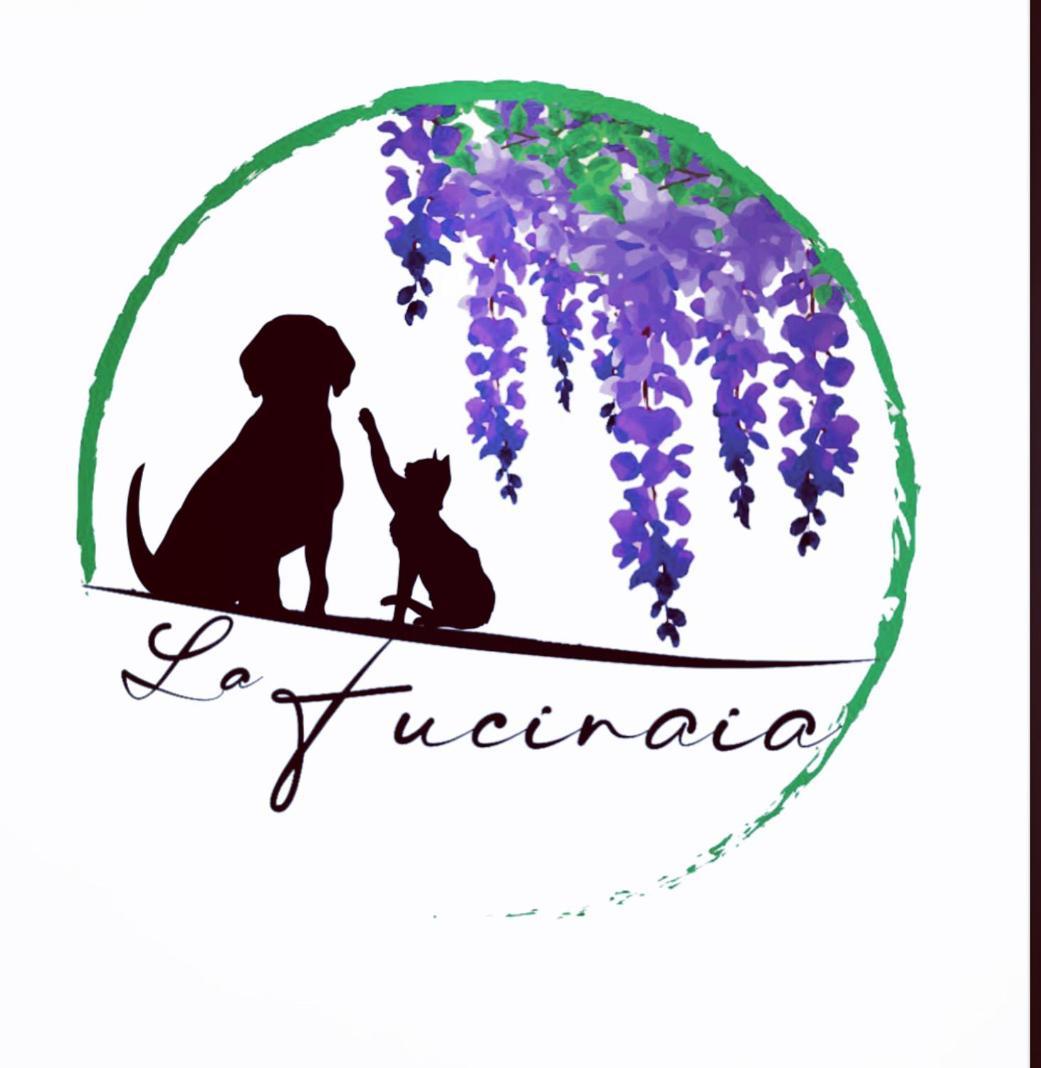 B&B La Fucinaia Pet Friendly Adults Only Campiglia Marittima Extérieur photo