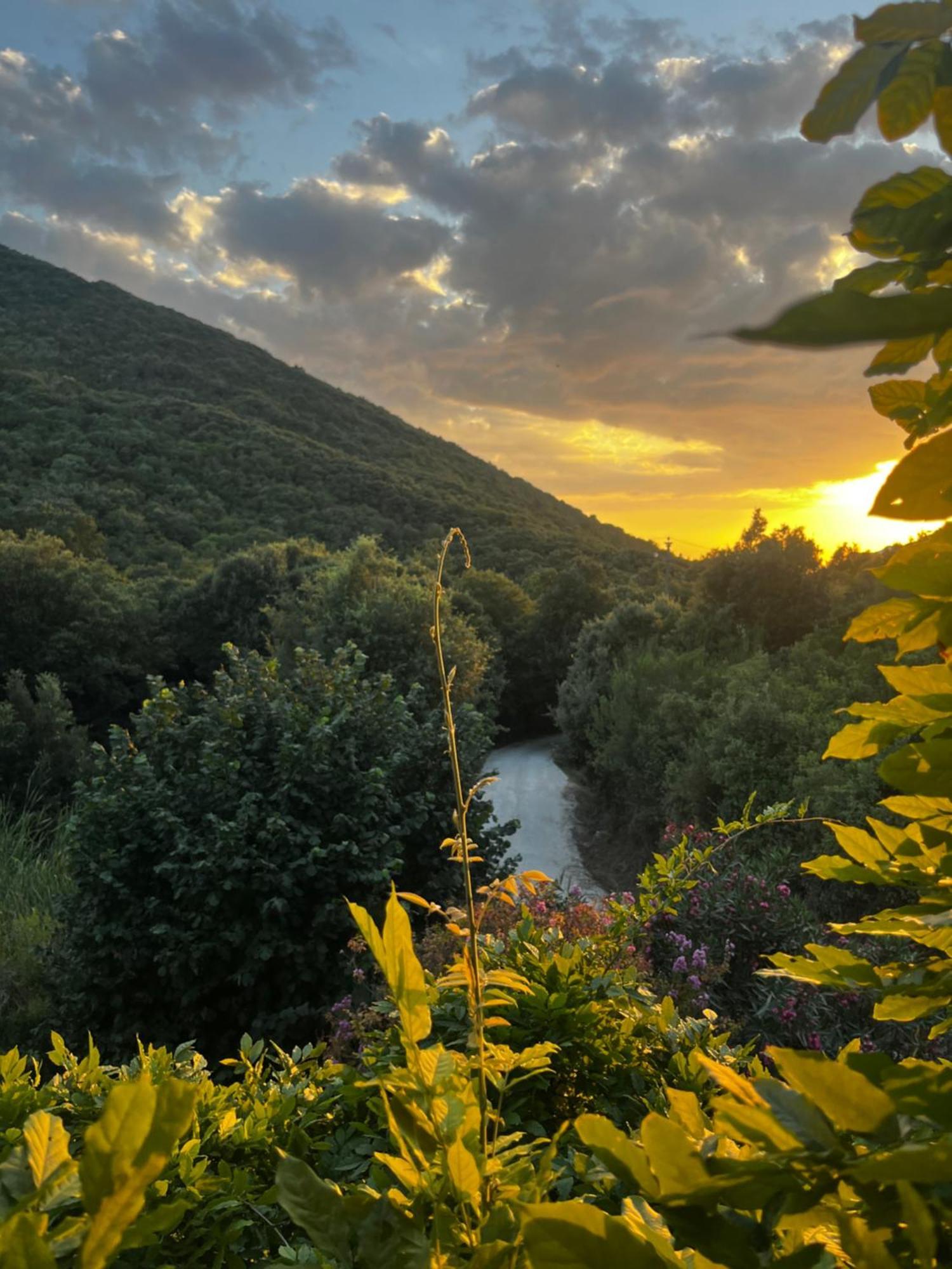 B&B La Fucinaia Pet Friendly Adults Only Campiglia Marittima Extérieur photo