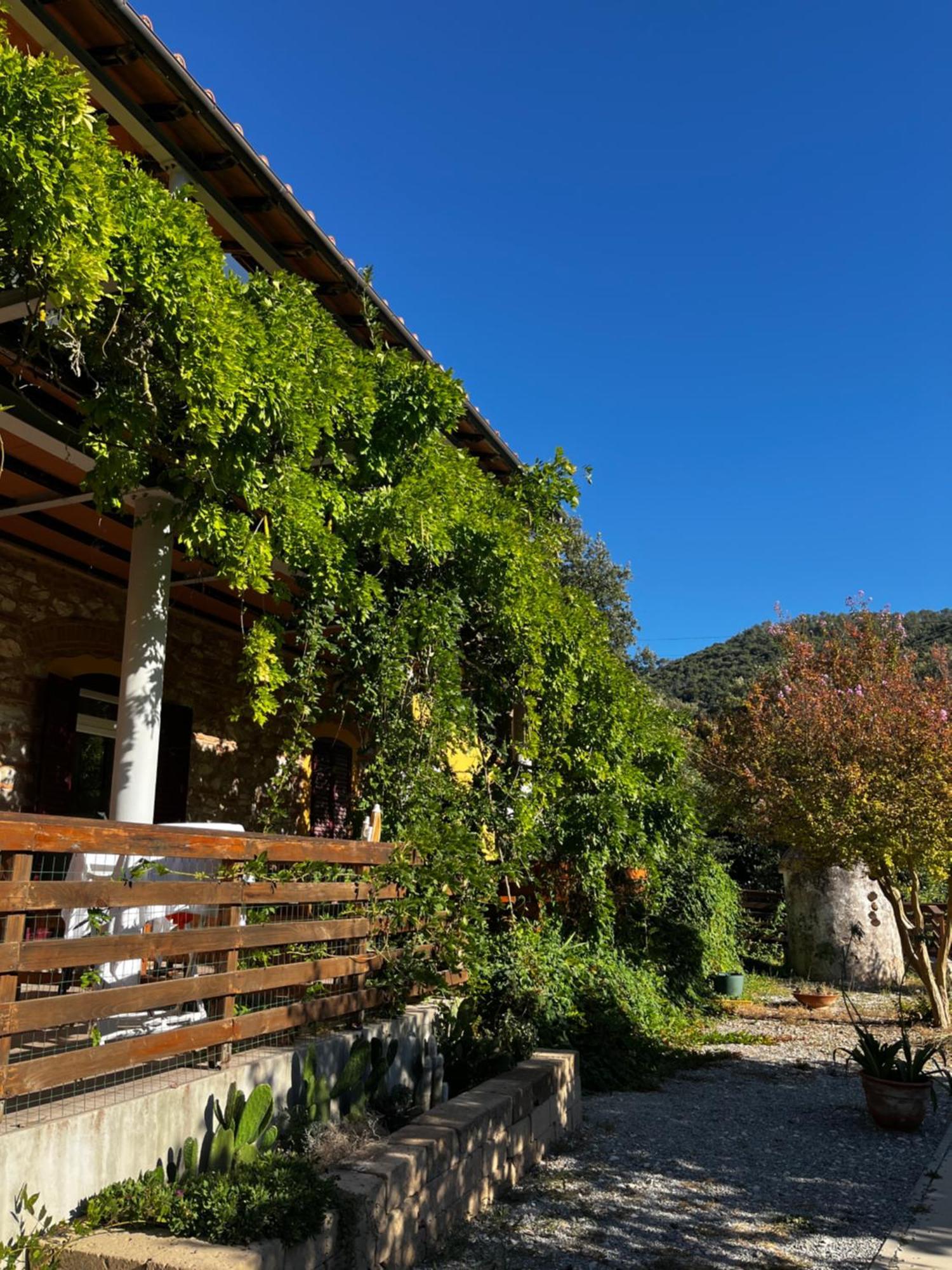 B&B La Fucinaia Pet Friendly Adults Only Campiglia Marittima Extérieur photo