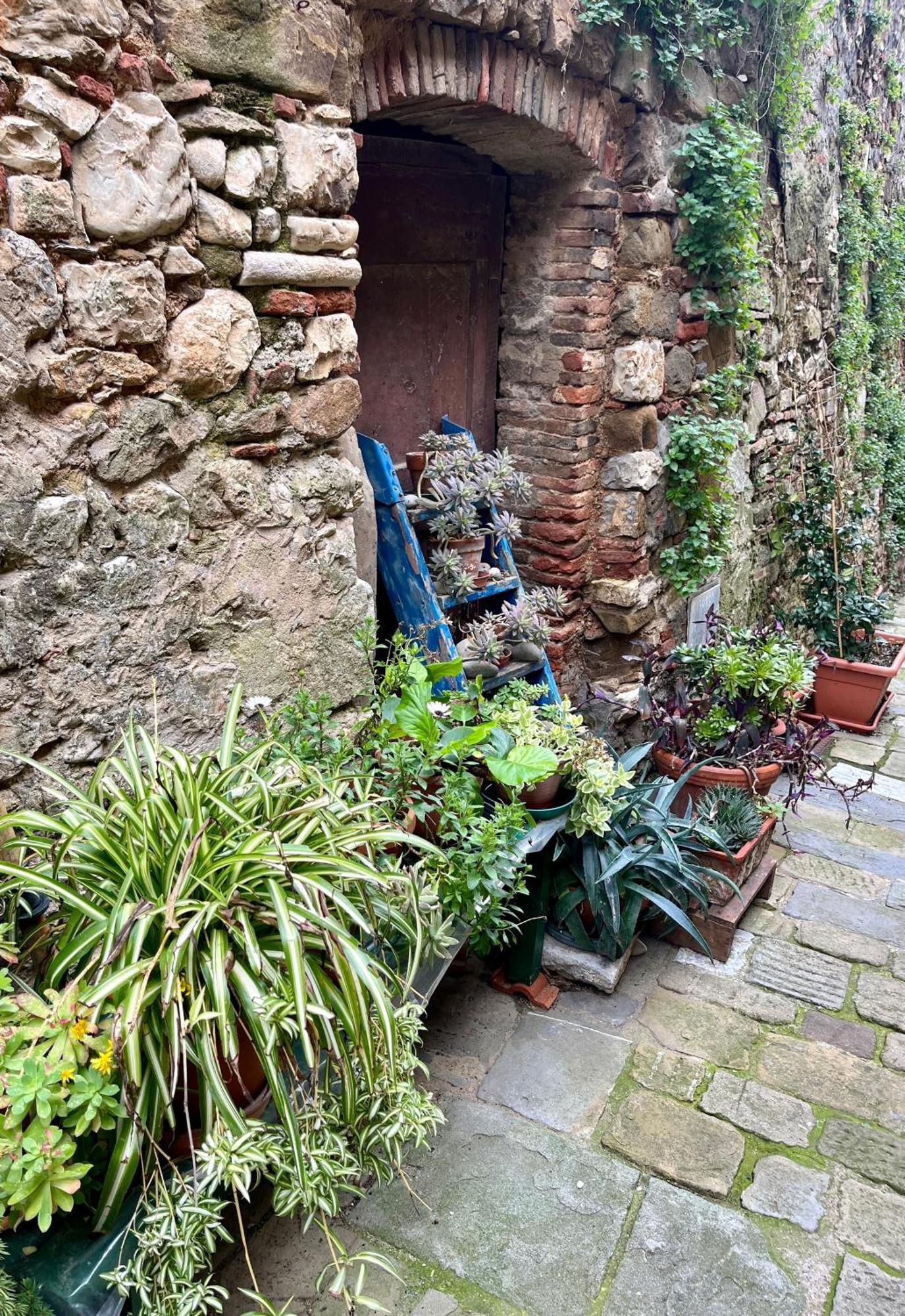 B&B La Fucinaia Pet Friendly Adults Only Campiglia Marittima Extérieur photo