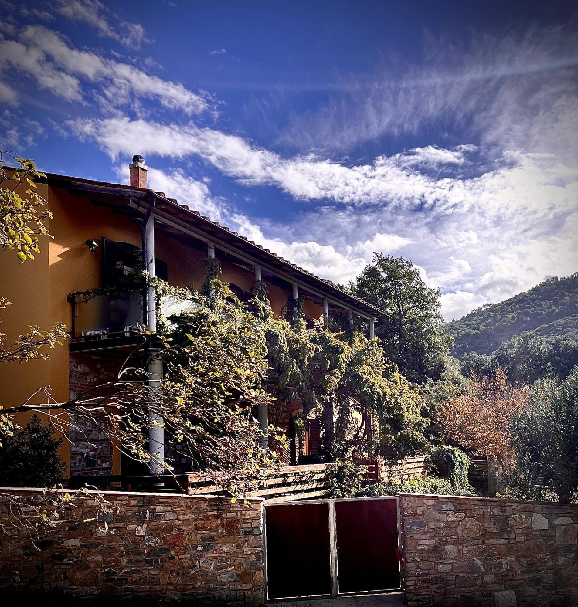 B&B La Fucinaia Pet Friendly Adults Only Campiglia Marittima Extérieur photo
