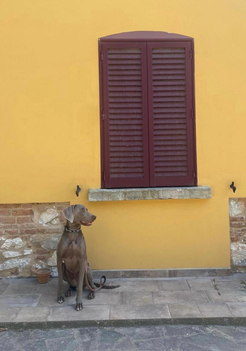 B&B La Fucinaia Pet Friendly Adults Only Campiglia Marittima Extérieur photo