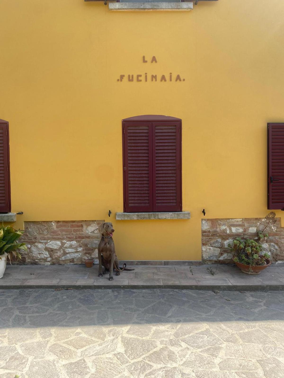 B&B La Fucinaia Pet Friendly Adults Only Campiglia Marittima Extérieur photo